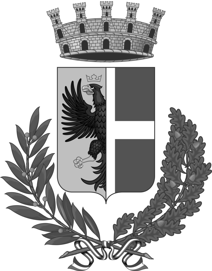 comune di fidenza